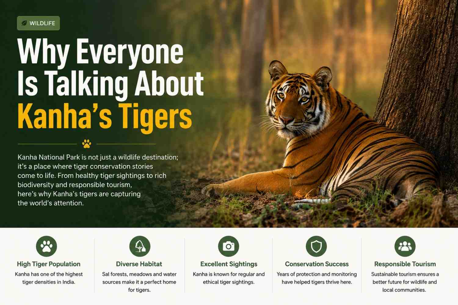 Kanha's Tiger